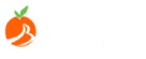 遵义网站制作-遵义网站建设-百度SEO优化公司-鲁盘科技